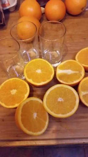 Bed & Breakfast 28 Appartement met Privé Tuin